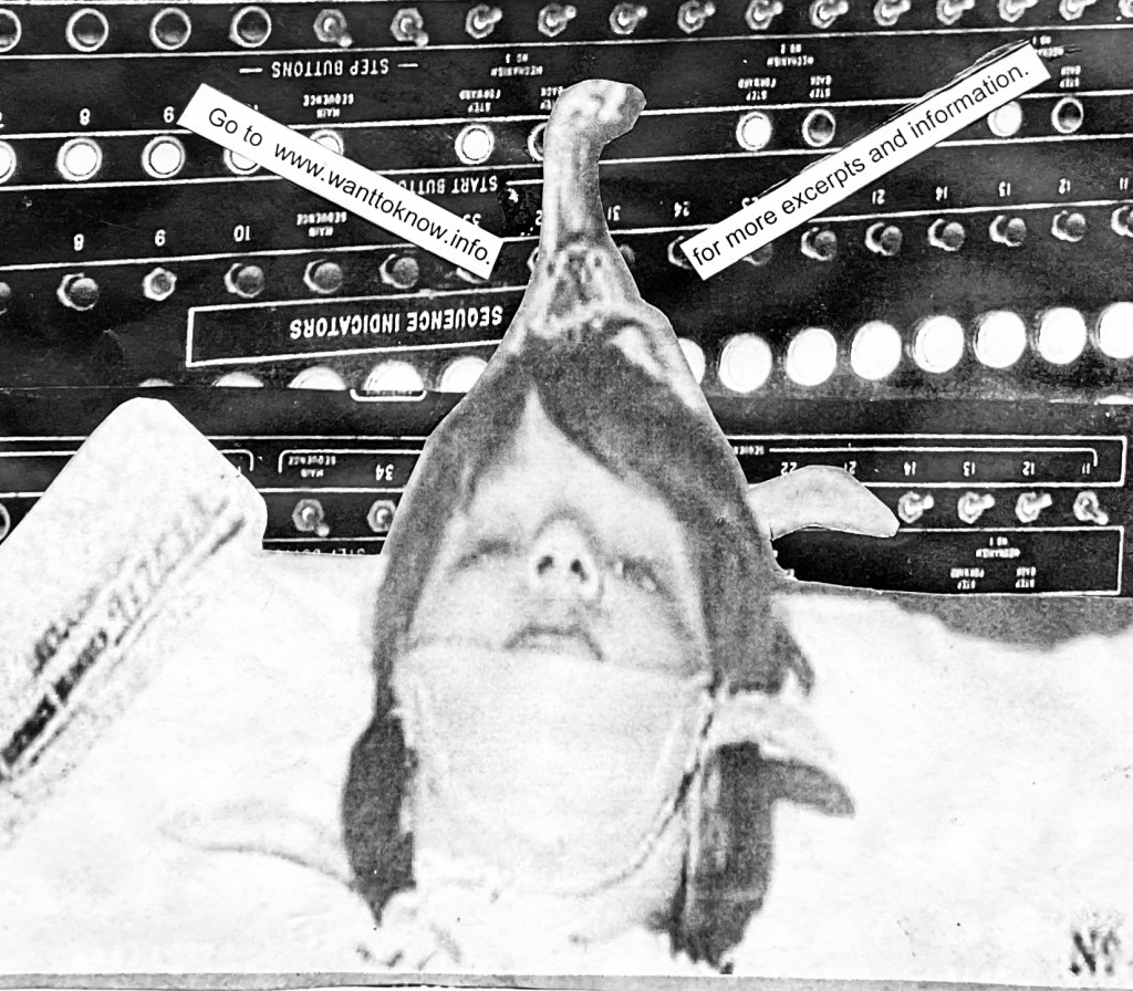 MK Ultra and Mind Control Pt.&nbsp;1